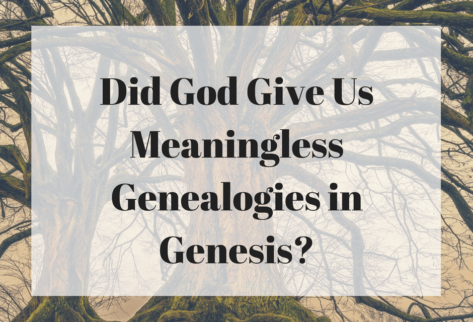 Did God Give Us Meaningless Genealogies in Genesis?